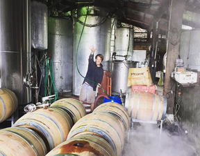 美酒王國進(jìn)口食品網(wǎng) 一站式進(jìn)口解決方案