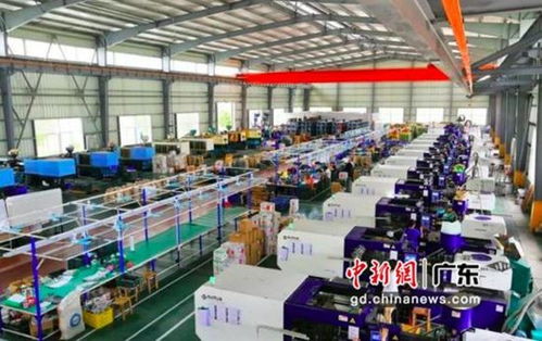 阿里春雷計劃激活30萬廣東外貿企業轉戰國內市場