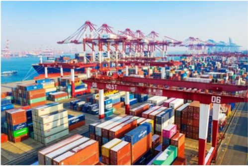 寒潮突襲，大港封航 挑戰(zhàn)中尋創(chuàng)意服務(wù)新機(jī)遇