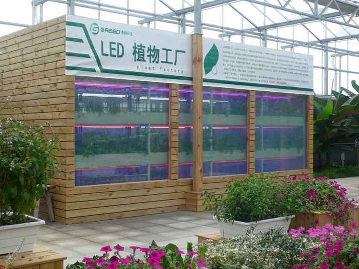 南通通州:科技與農業深度融合 融出綠色致富新路徑